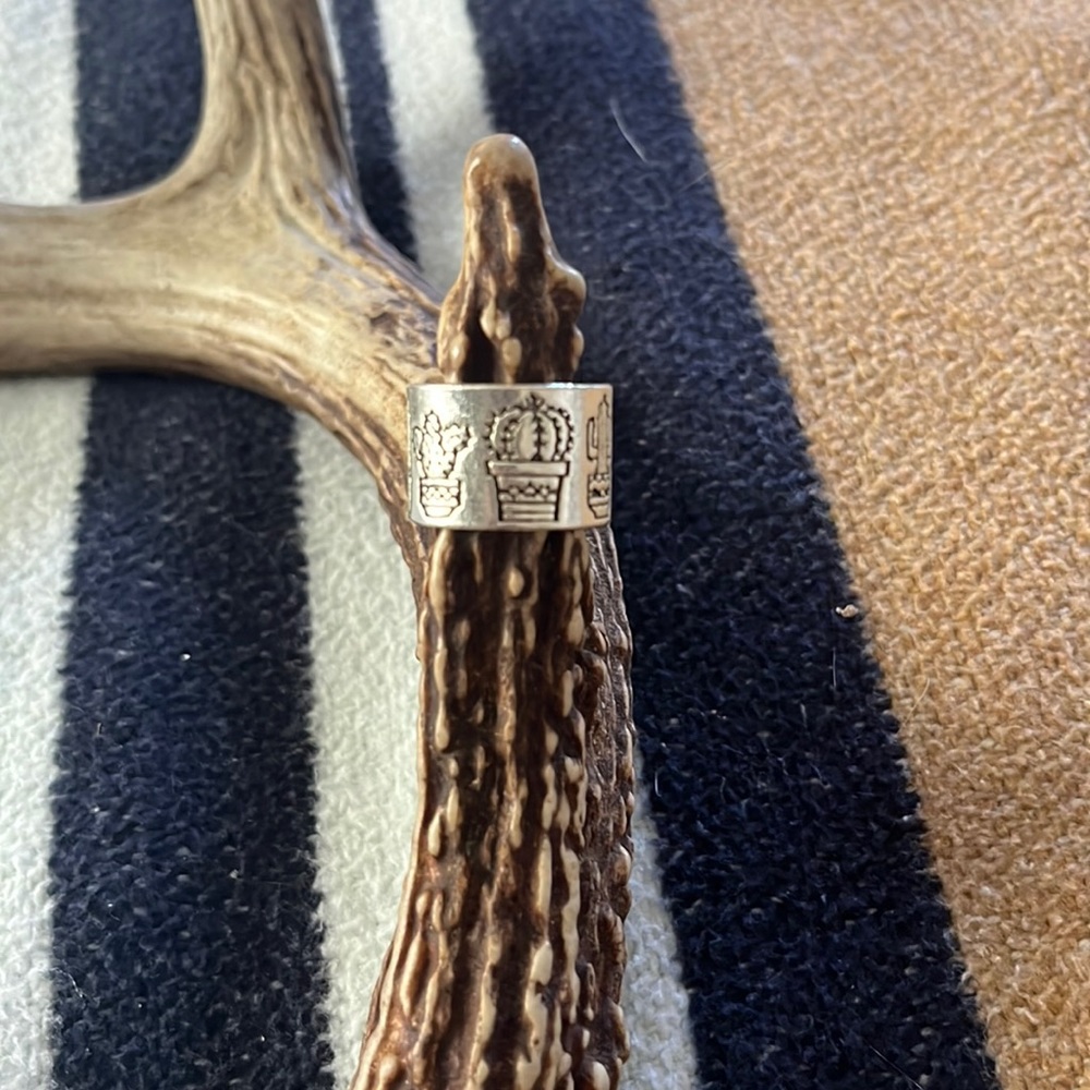 Silver cacti ring